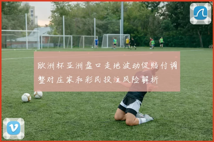 欧洲杯亚洲盘口走地波动促赔付调整对庄家和彩民投注风险解析